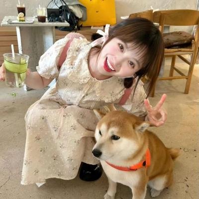 表兄本的营队放映活动
